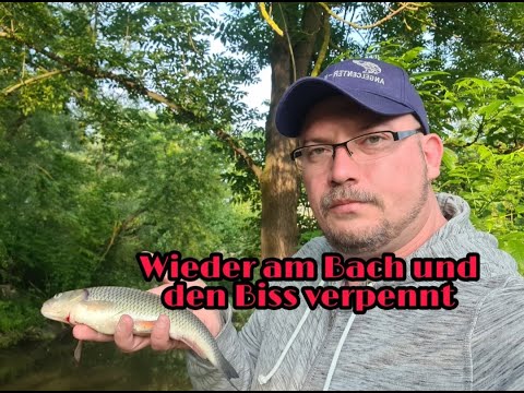 Kurzer Ansitz am Bach.