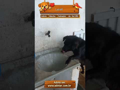 Vídeo de Latrell 