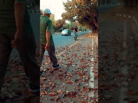 Chandigarh City Tour in One Video | All The Places to Visit in Chandigarh in Just 1 Day |