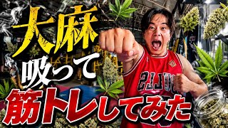 【25歳経営者】大麻吸って筋トレしてみた