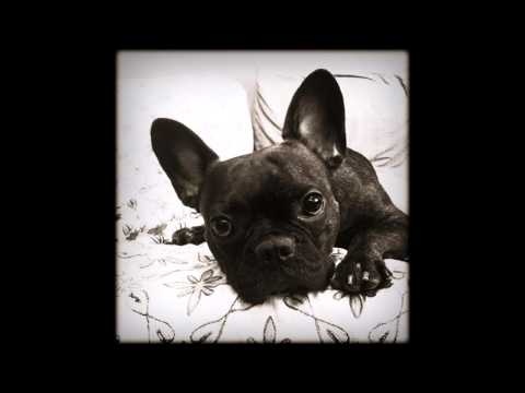 Madonna - American Life (Peter Rauhofer's American Anthem pt 1)