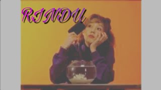Rindu [Agnes Mo] X Please Stop Me [Park Bo Ram ft Lil Boi] (Korean FMV)