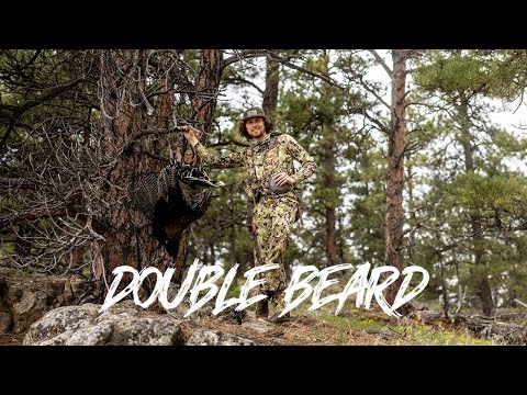 BEAU HUNTING “MOUNTAIN TOM COMES RUNNING (BIG DOUBLE BEARD)”