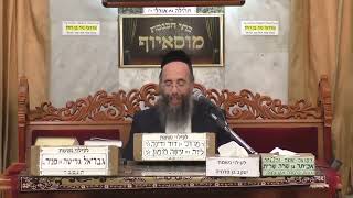 זרע שמשון - לפרשת שופטים - הרב יוסף חיים אוהב ציון