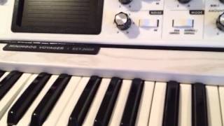 Video thumbnail for Testing my new Moog white edition (and moogerfooger clusterflux) by Sin with Sebastian