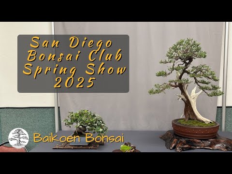 San Diego Bonsai Club - 2025 Spring Show - Bonsai Exhibition - Baikoen Bonsai Club