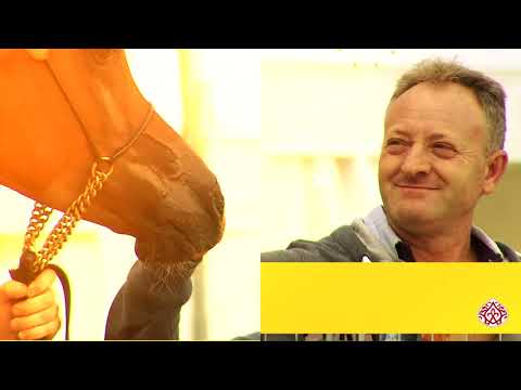 Int. Arabian Horse Show Bergamo 2020 - Promo