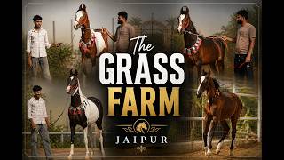Inside The Grass Farm — A Full Farm Tour
