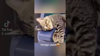 Download lagu Nunggu THR gajian #shorts mp3 Download lagu Nunggu THR gajian #shorts mp3