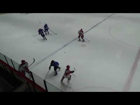 2020.02.15 MU HC Letci Letňany - HC Tábor II