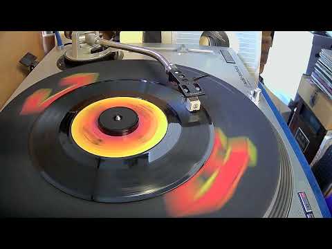 Margaritaville ~ Jimmy Buffett ~ 1977 ~ Styrene