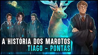 HOGWARTS: UMA HISTÓRIA - MAROTOS (PONTAS)
