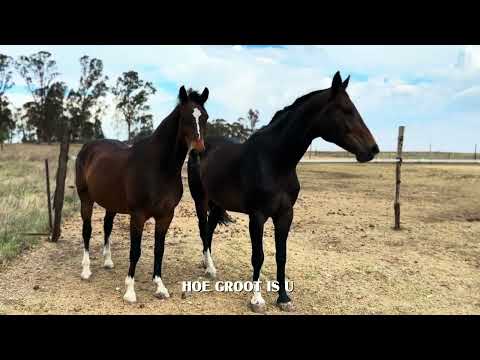 BlackByrd - How Great Thou Art Cover [Lyric Video]