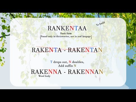 Aura's Finnish Lesson 2 part 1: Vowel Harmony and Irregular Consonants