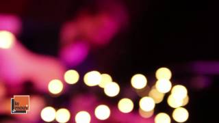 Memoryhouse en Mouv'Session- The Kids Were Wrong