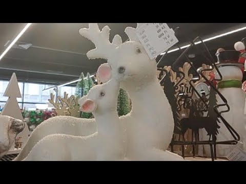 Idźcie do Tedi Wow😱