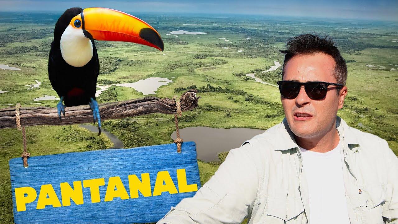 Pantanal | Biomas do Brasil | Ep.1
