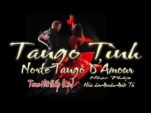 karaoke Tango Tình, nhạc Ngoại, hòa âm Đoàn Đức Tú, giọng Nữ thấp
