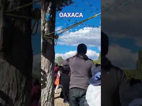 BONITA FIESTA EN FORTIN JUAREZ, TICUÁ, OAXACA