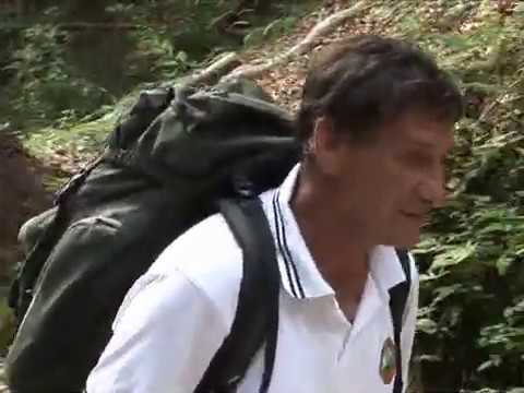 Il Cammino Celeste   subtitle DE