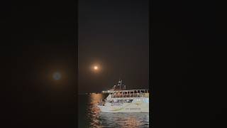 Spirit of Darwin Cruise #ytshorts#darwinaustralia#nightcruise#dinnercruise#cruisetour #fullmoonday
