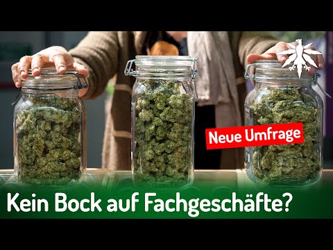 Video Thumbnail: Kein Bock auf Fachgeschäfte? Neue Umfrage | DHV-News # 494