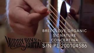 Video thumbnail for Breedlove Organic Signature Concertina Copper E by Muddy River Guitars