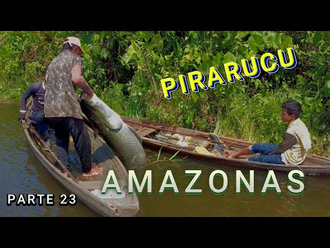 ACAMPADO NO LAGO DO ANZOL -  DESPESCA DO PIRARUCU - VÍDEO 23