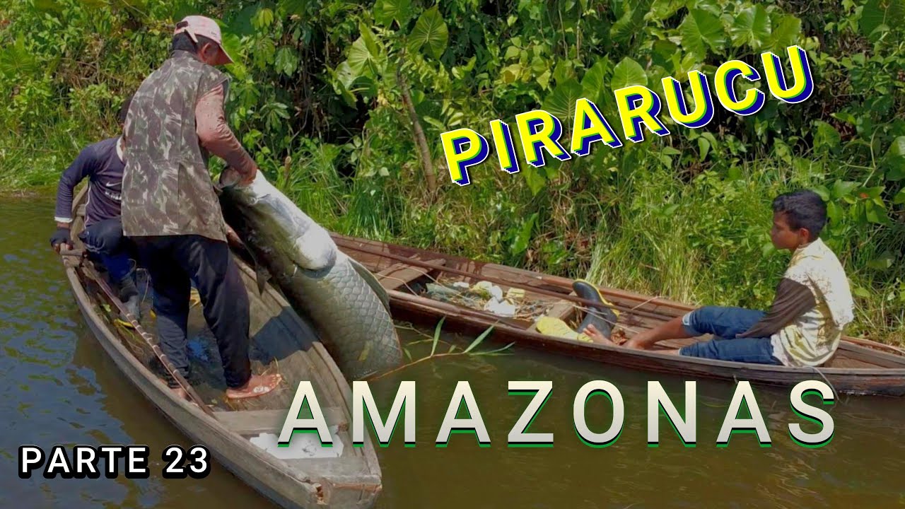 CAMPING AT LAGO DO ANZOL - FISHING FOR PIRARUCU - VIDEO 23