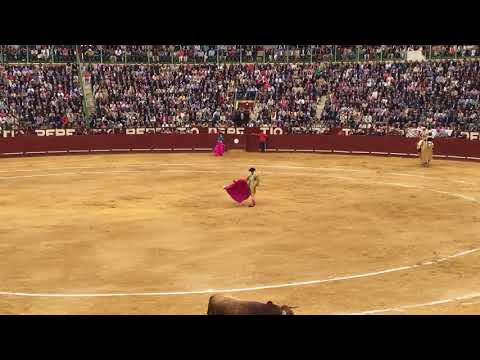 José Tomás. Jerez 2016