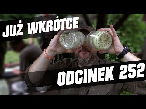 Darz Bór zapowiedź odcinka 252