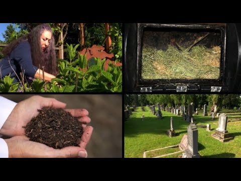 Eco-burial: Corpses as compost