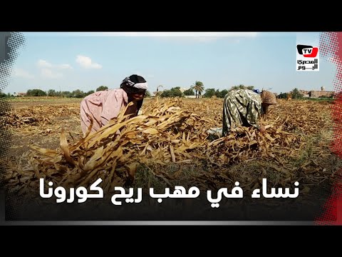 نساء في مهب الريح.. عاملات التراحيل يواجهن كورونا بالصبر والاستدانة (تحقيق)