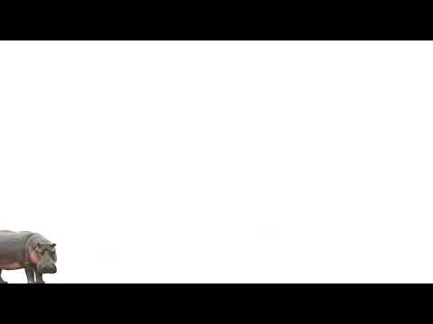 どうしてしらんぷり［リアル］