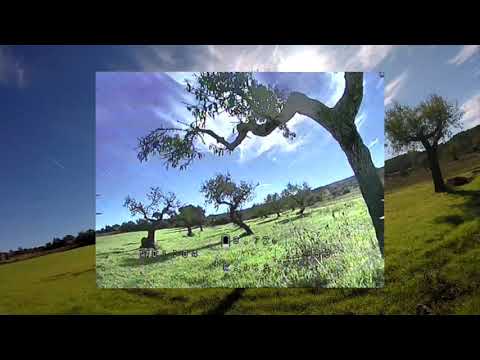 MATEK VTX HD   TEST - VADNI FPV
