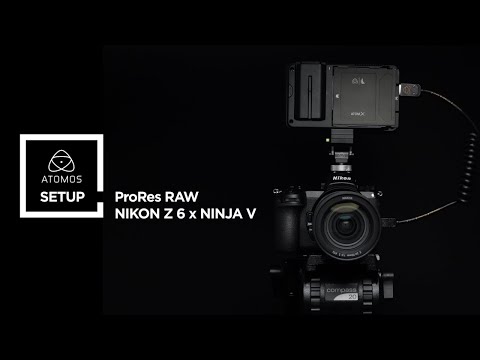 Nikon Z 6 / Z 7 and Atomos Ninja V HDMI RAW setup