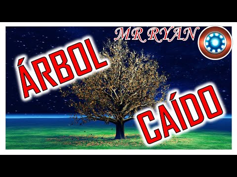 ¡Hicieron justicia para Robin Hood! Condenan a hombres que talaron el árbol más famoso de Inglaterra