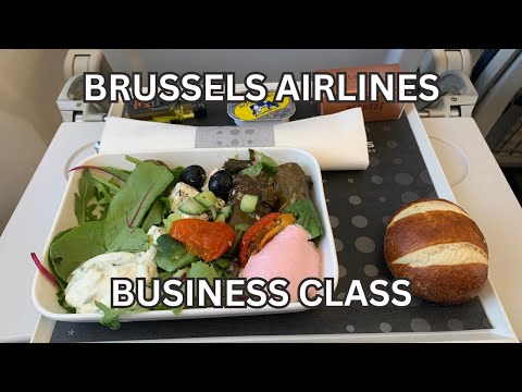 YouTube thumbnail for Brussels Airlines Airbus A319