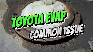 Toyota Rav4 P0456 Evap leak when Cold!
