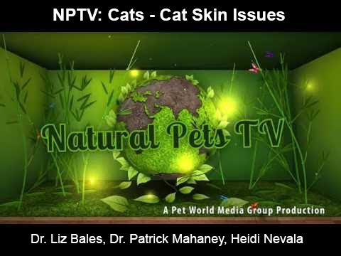Natural Pets TV: Cats - Episode 6 - Cat Skin Problems - Why, What & How to Help