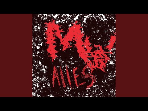 Miami Weiss Alles Du Bitch