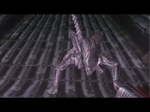 One man against some Xenomorphs