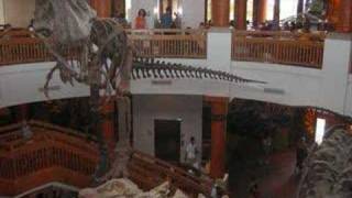 Jurassic Park by Elida Marching Band