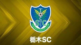 サッカーキング：J2残留を目指す栃木に痛手…守護神ユ・ヒョンが全治2〜3カ月の見込み - 毎日新聞