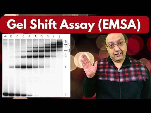 Gel Shift Assay (EMSA) - Principle and Applications