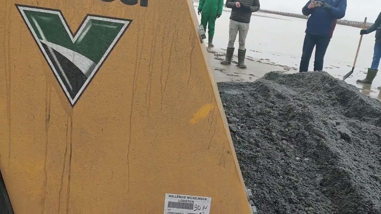 Video 4