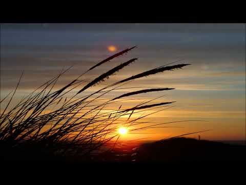 Chicane - Sunstroke (Disco Citizens Remix)