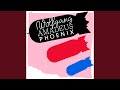 Fences (Friendly Fires Remix) 