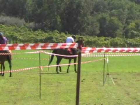 Esibizioni Equestri Comitato Pareti (04/10/09) parte 3