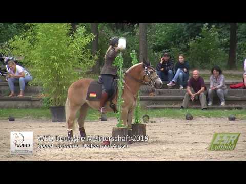 Working Equitation - Deutsche Meisterschaft 2019 - Johanna  Ueltzen auf Anton in Speed Trail